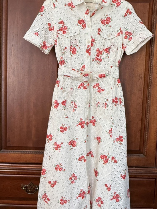 Sezane Dresses & Skirts - Sezane Raquel dress in Rosa Corail print